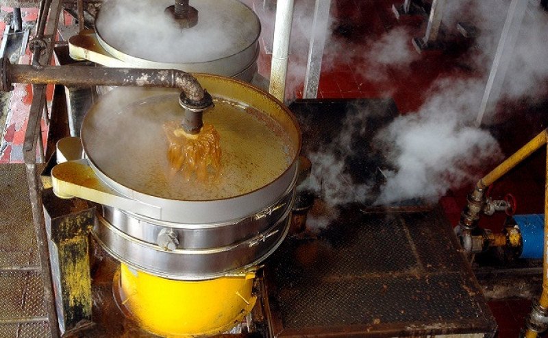 Desember 2022: Harga Referensi CPO Turun, Harga Referensi Biji Kakao, dan HPE Produk Kehutanan Naik