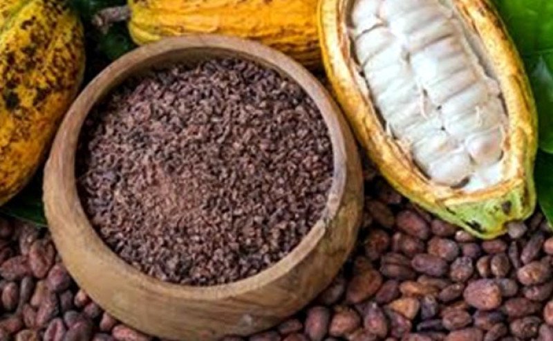 HR dan HPE Biji Kakao Turun pada Desember 2025, Sedangkan Sektor Kayu Alami Kenaikan