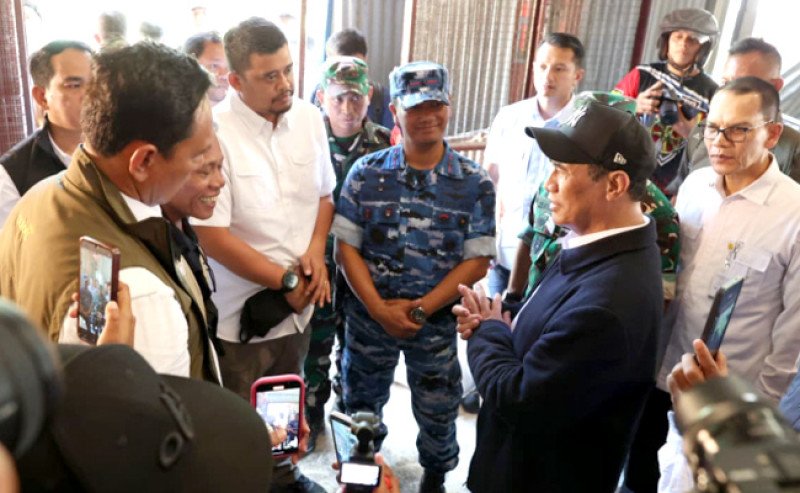 Pemerintah Ambil Alih Pemulihan 40 Ribu Hektare Sawah Terdampak Banjir, Kementan Pastikan Bantuan Menyeluruh