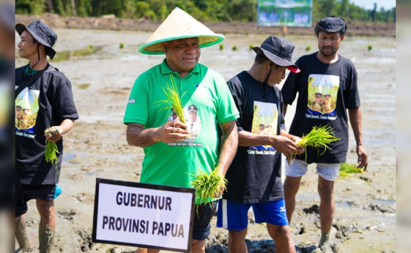 Gubernur Papua Optimistis Menuju Swasembada Beras Lewat Pengembangan Pertanian Terpadu