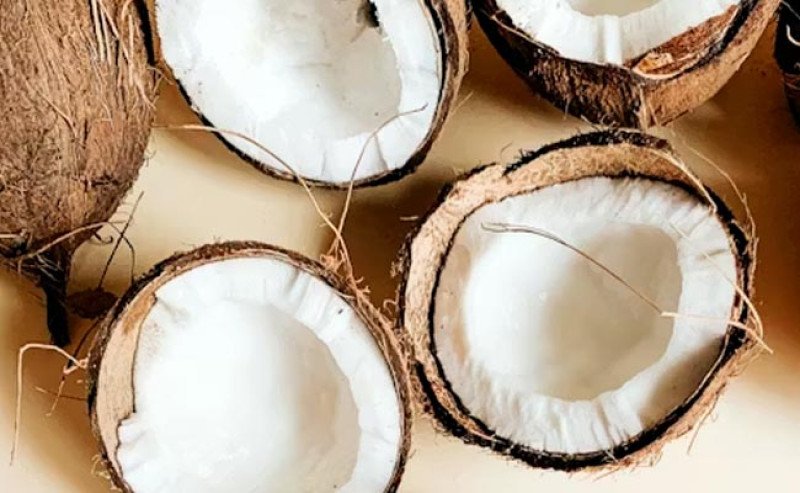 Sumsel Targetkan Ekspor Perdana Produk Olahan Kelapa ke Malaysia Awal 2026