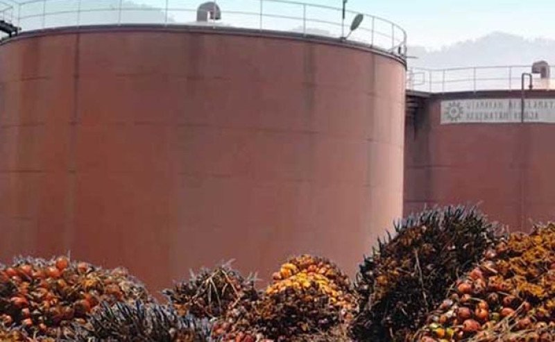 Harga CPO KPBN Inacom Selasa (23/12): Franco Dumai Naik Rp 70 per Kg