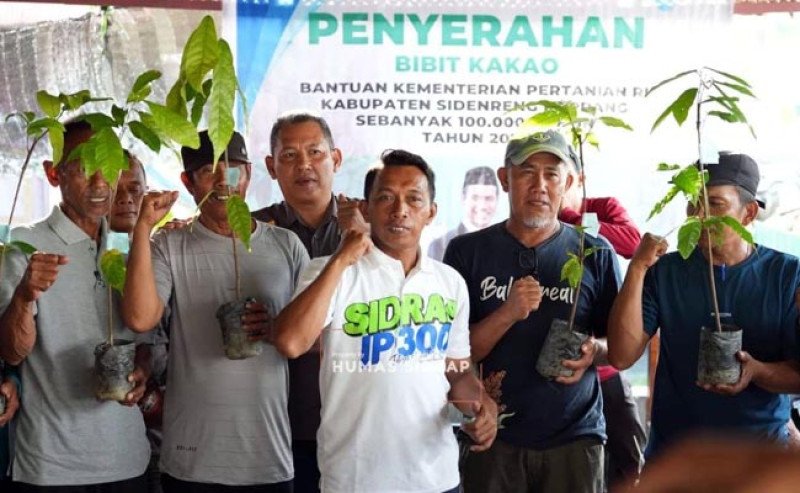 Perkuat Ekonomi Desa Pitu Riase, Pemkab Sidrap Bagikan 70 Ribu Bibit ke Petani