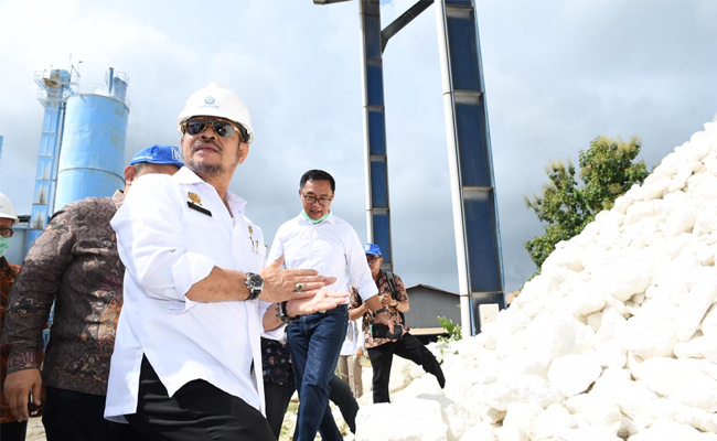 Neraca Perdagangan Sektor Pertanian Mengalami Surplus