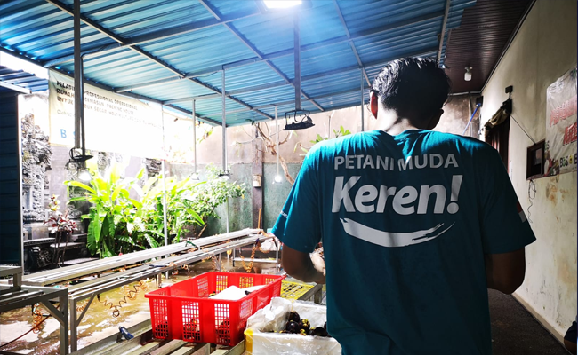 Petani Muda Bali Omset Ekspor 100 Miliar Lewat Market Place Digital