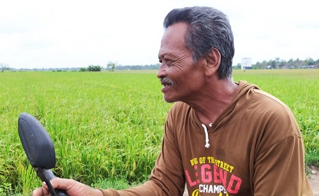 Warji: Ikuti Panduan Tanam, Panen di Food Estate Kalteng Memuaskan
