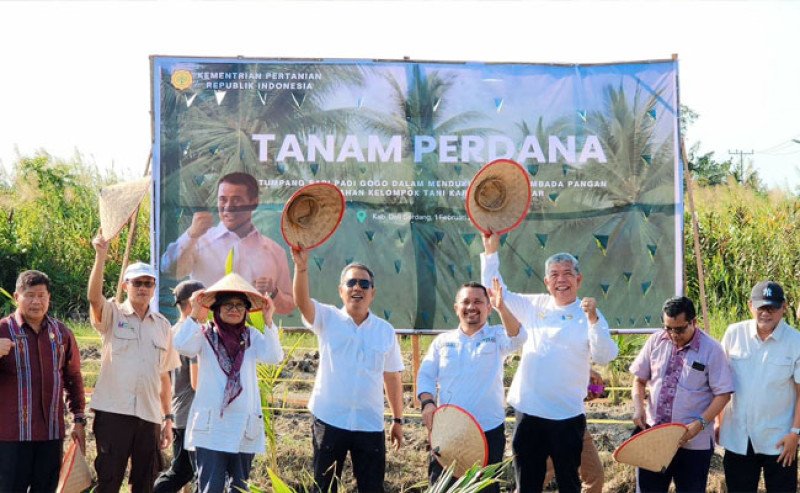 Percepat Swasembada Pangan, Kementan Tanam Perdana Padi Gogo di Lahan PSR dan Kelapa di Sumut