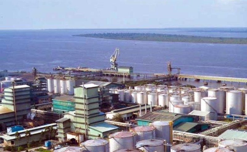 Harga Referensi CPO Melemah Periode Februari 2025,  Tarif BK dan PE CPO ditetapkan USD 195,6 per MT