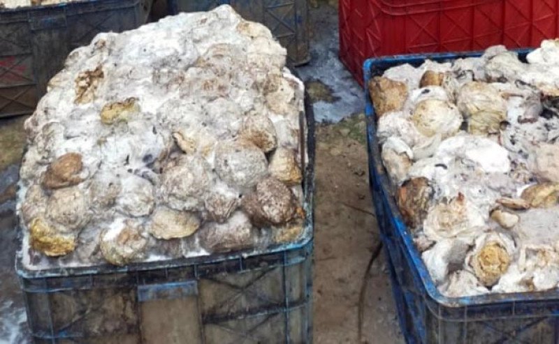 Harga Karet SGX Sicom Senin 17 Februari 2025 Tertinggi Rp 33.186 per Kg