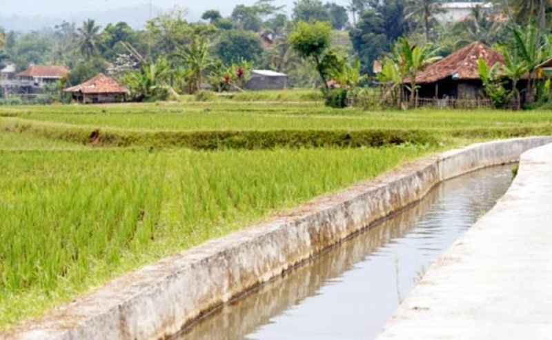 Antisipasi Cuaca Ekstrem 2026, Kementan Percepat Penguatan Irigasi dan Tata Kelola Air