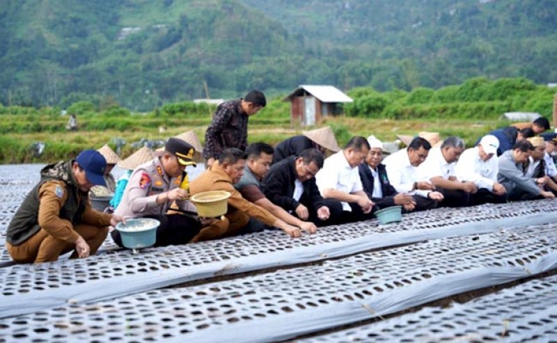 Mentan Amran dan Gubernur NTB Tanam Bawang Putih di Sembalun, Targetkan Stop Impor 3–4 Tahun
