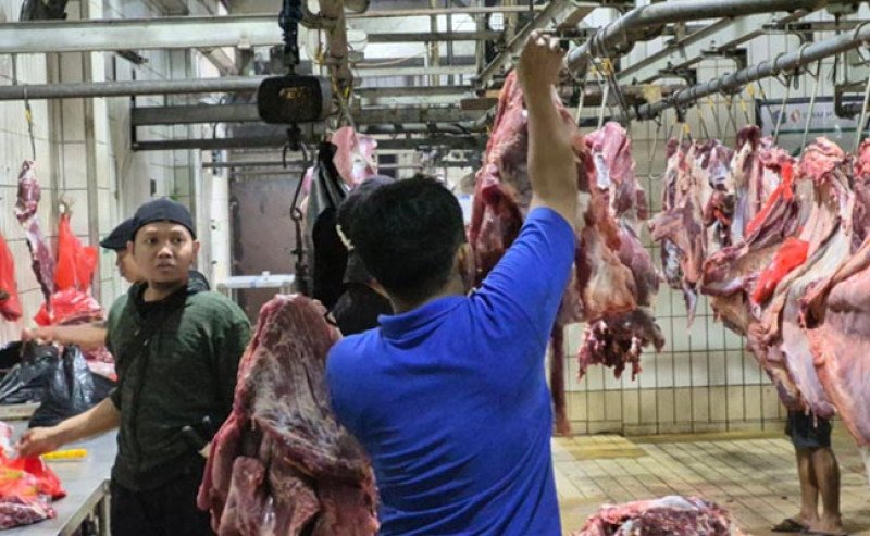 Pemerintah Perketat Pengawasan Harga Sapi Hidup, Rantai Pasok Diminta Disiplin Jelang Ramadan