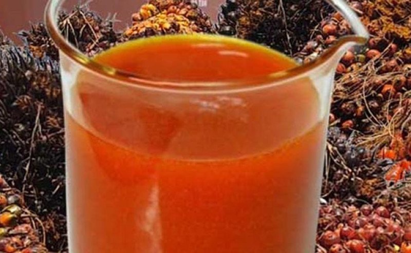 Harga CPO KPBN Inacom Kembali Melemah ke Rp 14.100/kg pada Jumat (13/2)