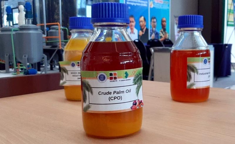 Harga CPO KPBN Kamis (26/2) Naik Tipis ke Rp14.265/Kg, Pasar Global Masih Berfluktuasi