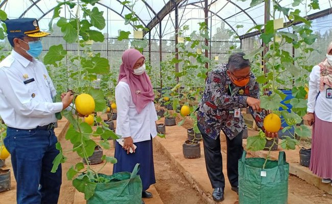 Agroeduwisata Kebun Bibit Cilangkap, Destinasi Wisata Pertanian Ibu Kota
