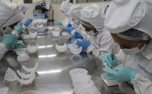 Eksportir Senang Dukungan Kuat Pemerintah untuk Sarang Burung Walet