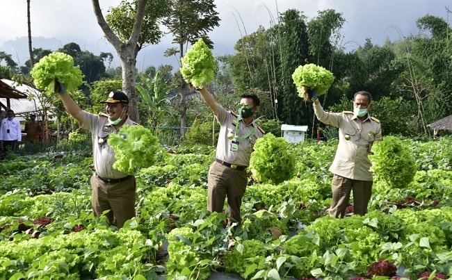 Komitmen Dirjen Horti Melakukan Percepatan Produksi