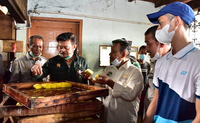 Langkah Cepat Kementan Stabilkan Pasokan dan Harga Kedelai