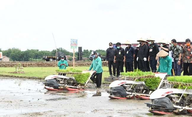 Mengenal IP400 Yang Dilakukan Kementan