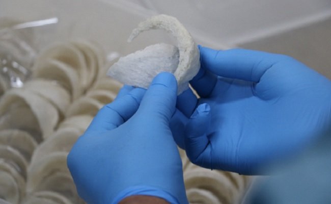 PPSBI : Ekspor Sarang Burung Walet Berpotensi Meningkat Tajam