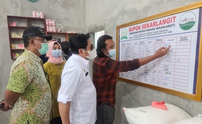 Proyek Upland di Magelang Difokuskan untuk Padi Organik