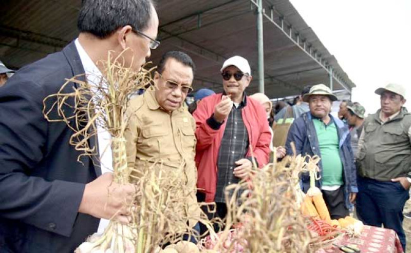 Komisi IV DPR RI : Program ‘Food Estate’ di Kabupaten Humbahas Sumut Belum Optimal