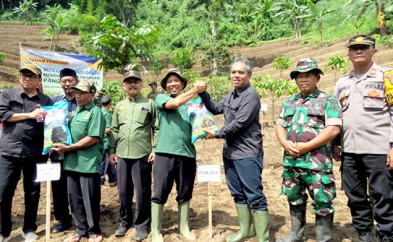 Kementan Dorong Swasembada Pangan melalui Penanaman Perdana Padi Gogo di Mojokerto