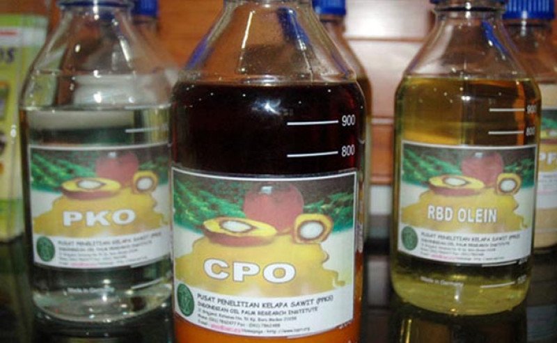 Harga Minyak Sawit Mentah (CPO) Inacom Rabu 15 Januari 2025 Turun Rp 307 per Kg