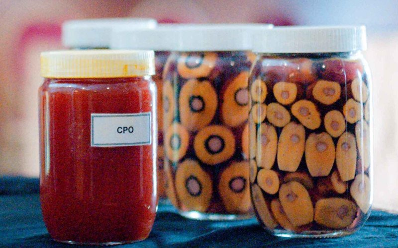 Harga Minyak Sawit Mentah (CPO) di Inacom dan Bursa Malaysia Turun pada Rabu 22 Januari 2025