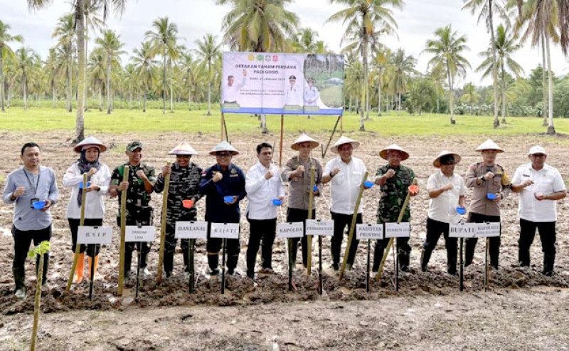 Semarak Tanam Perdana Padi Gogo di Bone Bolango, Dorong Swasembada Pangan Nasional