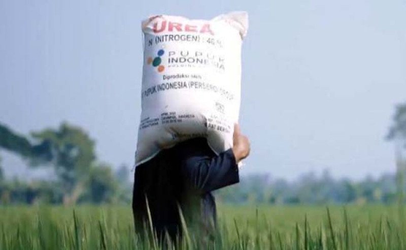Pupuk Bersubsidi Resmi Bisa Ditebus Mulai 1 Januari 2026, Pemerintah Pastikan Stok Aman