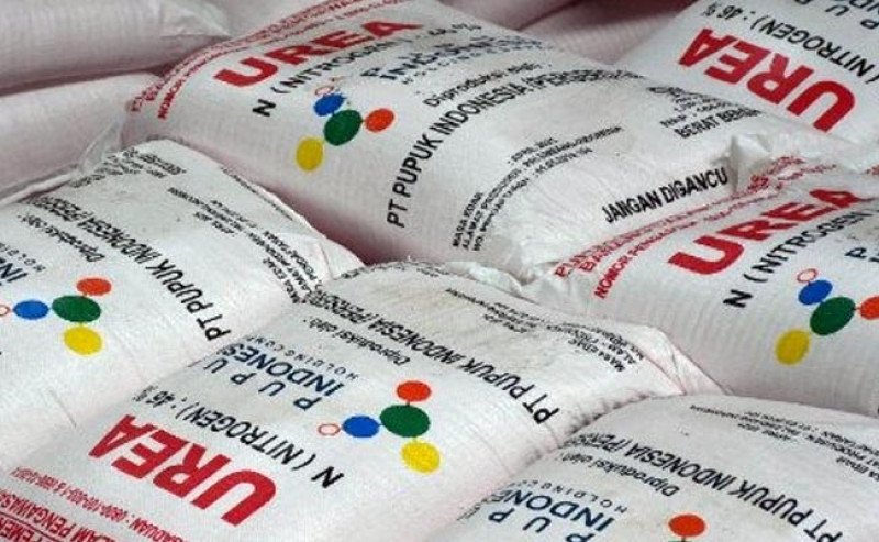 Awal Tahun 2026, Penebusan Pupuk Bersubsidi Langsung Berjalan, 147 Transaksi Tercatat dalam 16 Menit