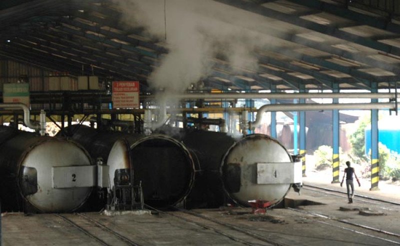 Harga TBS Sawit Kalbar Periode III Desember 2025, Tertinggi Rp 3.236,30 per Kg