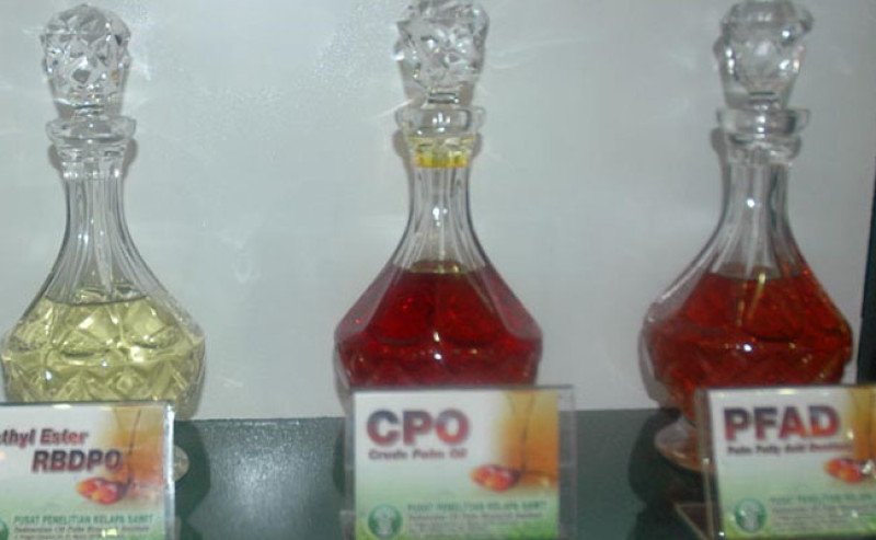 Harga CPO KPBN Inacom Jumat (9/1) Masih Naik,  Tembus Rp 14.411 per Kg