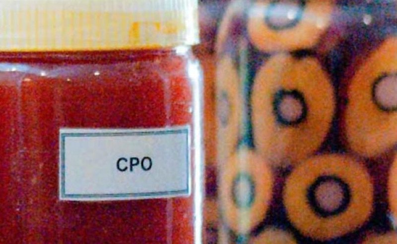 Harga CPO KPBN Inacom Selasa (13/1) Naik Tembus Rp 14.555/Kg