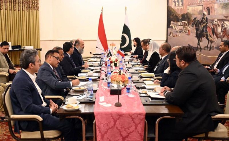 Indonesia–Pakistan Perkuat Jalur Logistik Sawit, Wamendag Roro Dorong Efisiensi Pelabuhan Qasim