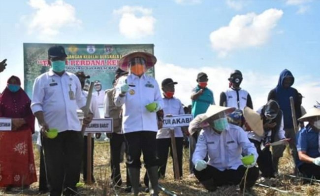 Gubernur Sulbar Siap Lakukan Penanaman Kedelai Skala Luas