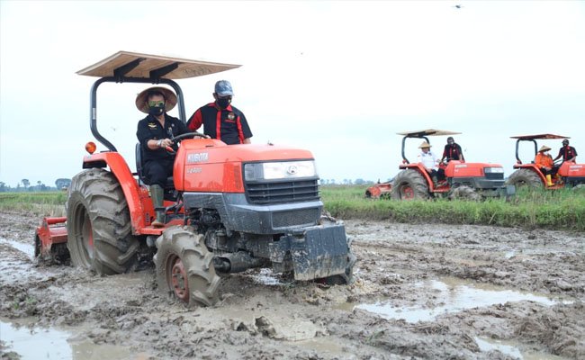 In East Java, The Agriculture is the Safest Sector from the Corona Impacts
