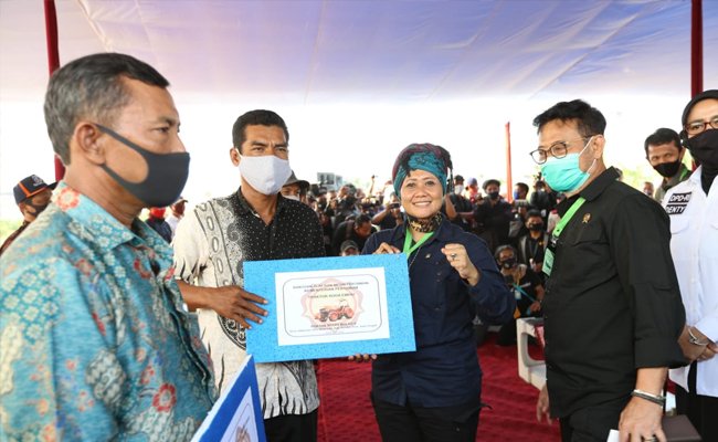 In Kendal, SYL Harvested Corn and Gave Helps