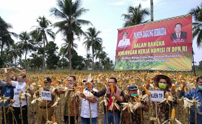 Komisi IV DPR RI Dukung Kementan Genjot Produksi Pertanian Provinsi Lampung