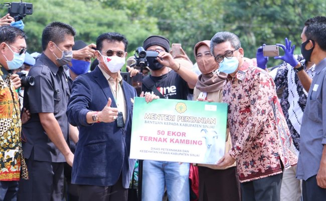 Mentan Syahrul Dorong Sulsel Jadi Lokomotif Ternak Sapi Kerbau Nasional