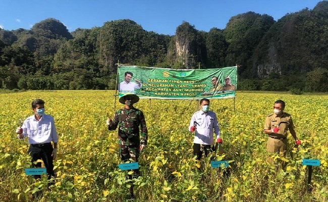 Regent of Maros: Need Superior Variety of Soybean