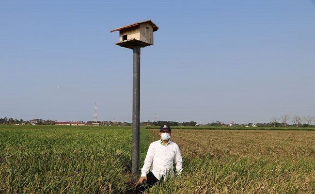 Soal Kenaikan Ekspor, Pengamat: Sektor Pertanian Harus Mendapat Perhatian Serius