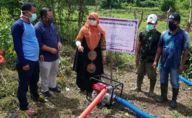 To Anticipate the Drought in Sumatera, Ministry of Agriculture Prepared the Strategies