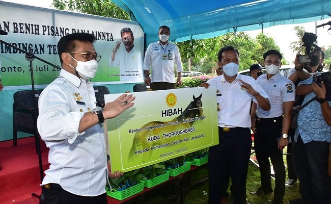 Kementan Serahkan Bantuan Pisang dan Program Pertanian di Jeneponto