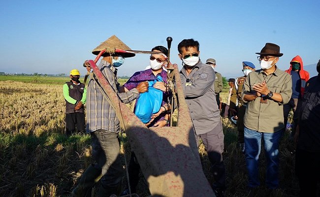 Kunjungi Bandung, Mentan SYL Dukung Tanam dan Panen Padi