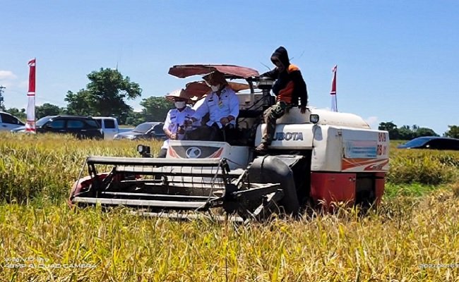 Program OPIP Berhasil Tingkatkan Produksi Panen Kabupaten Muara Enim