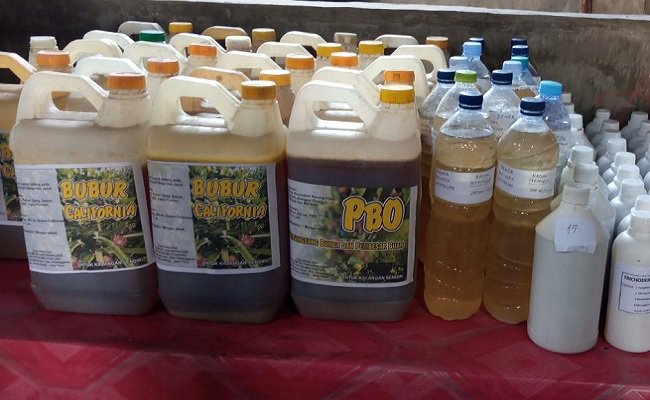 Sokong Produk Hortikultura Berkualitas, Kementan Ajak Petani Manfaatkan Pestisida Nabati