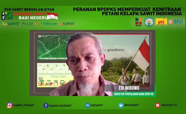Tiga Kemitraan Sawit Strategis yang Dilakukan BPDP Kelapa Sawit