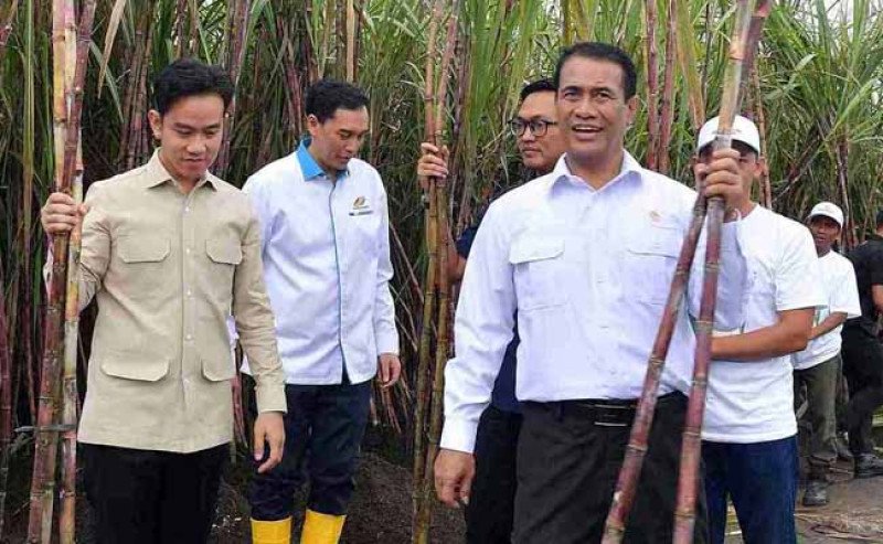 Wapres Gibran Kunjungi Kebun Tebu PTPN di Banyuwangi, Dukung Swasembada Gula dan Energi Nasional
